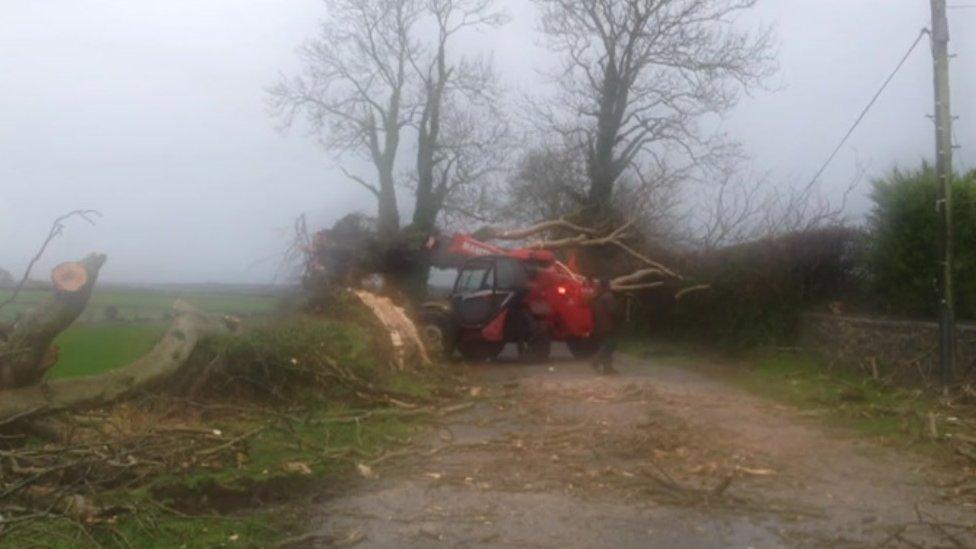 Work was carried out to clear a fallen tree near Menai Bridge, Anglesey