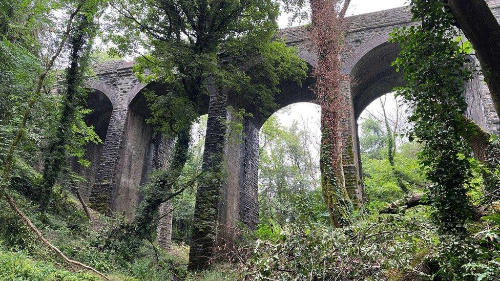 A picture taken below the Ham Wood viaduct