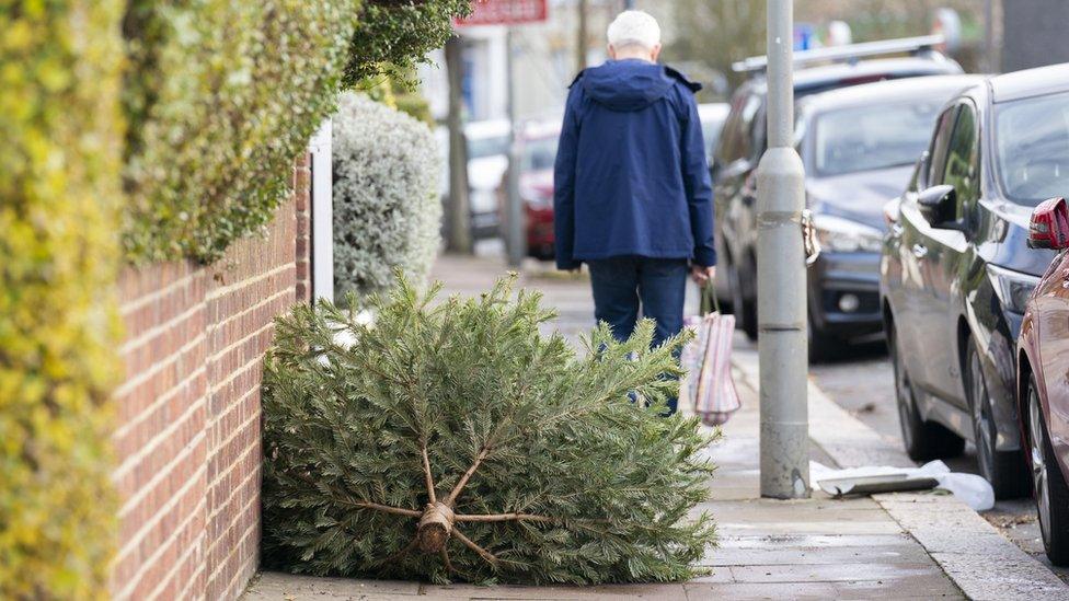 A person walks around a Christmas tree discarded on the pavement