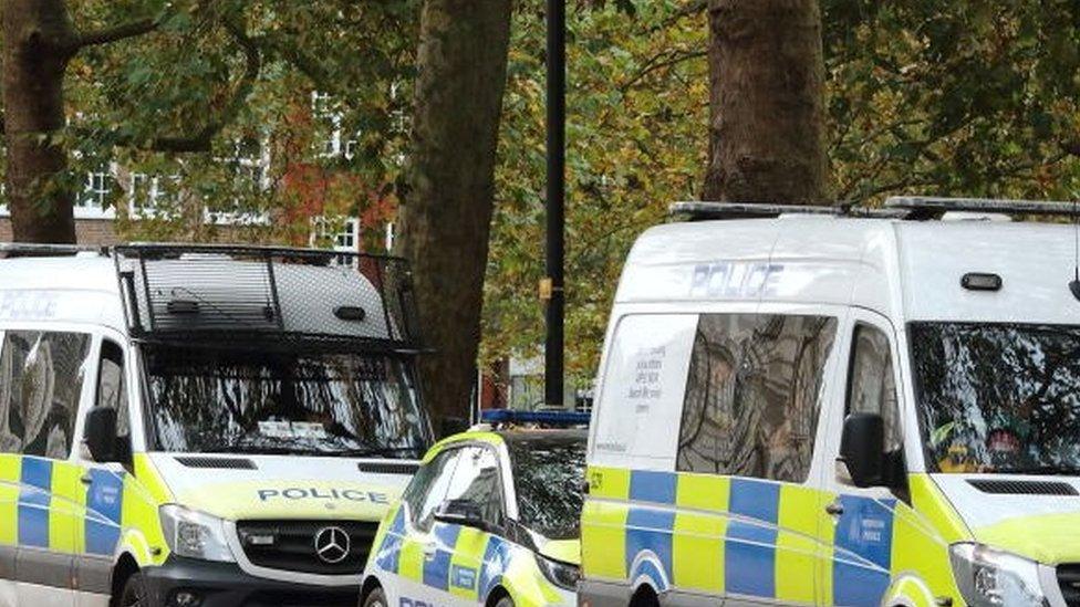 Stock image of parked police cars