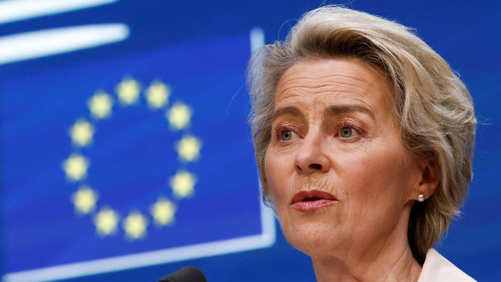 European Commission President Ursula Von Der Leyen speaks at a press conference. In the background is an EU flag.