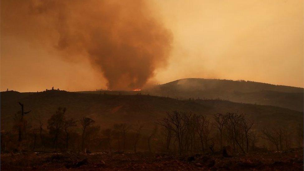 Mendocino complex fire