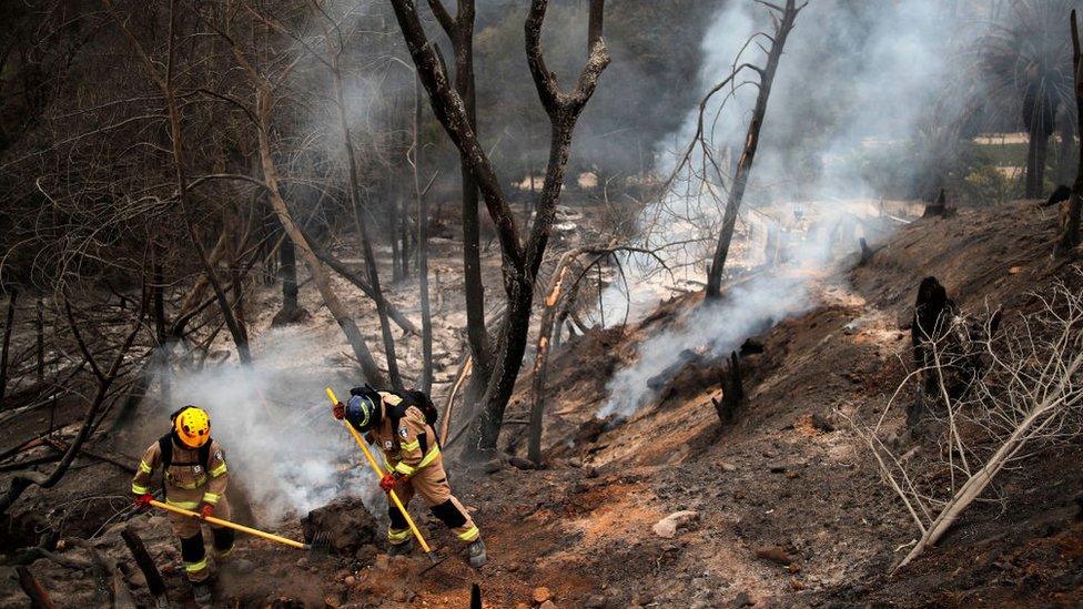 Firefighters in Chilean forest