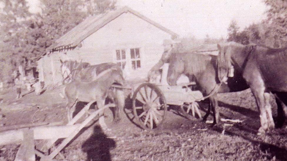 Road allowance, Park Valley, SK 1950s