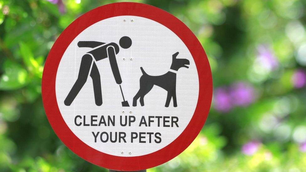 Dog fouling sign