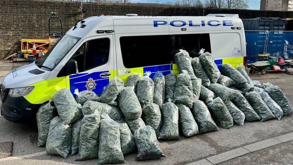 Cannabis bags lined and stacked up against a police van