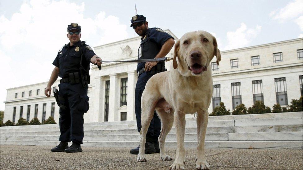 Police officers stand with their dog outside the Federal Reserve patrol in front of the building with their dog Brodie in Washington