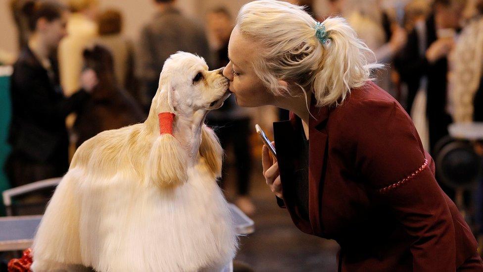 A woman kisses her American Cocker Spaniel