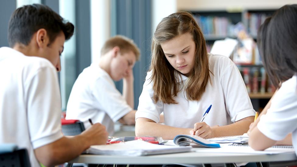 Teenagers studying at school