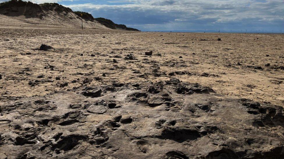 Prehistoric tracks on Formby Beach