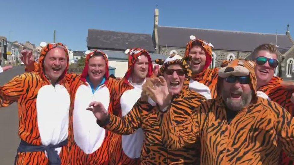 tigers