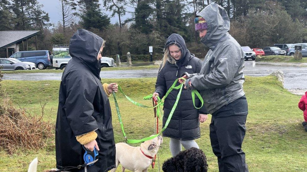 Dog walkers in Dartmoor