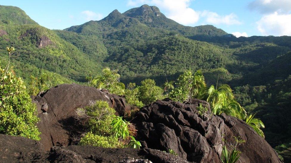 Mahé is the largest island in the Seychelles archipelago