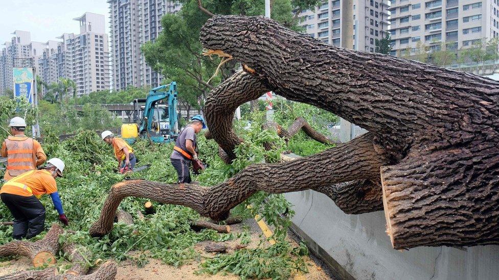 Workers cut an uprooted tree in the road in Xindian district of New Taipei City on 28 September 2016.