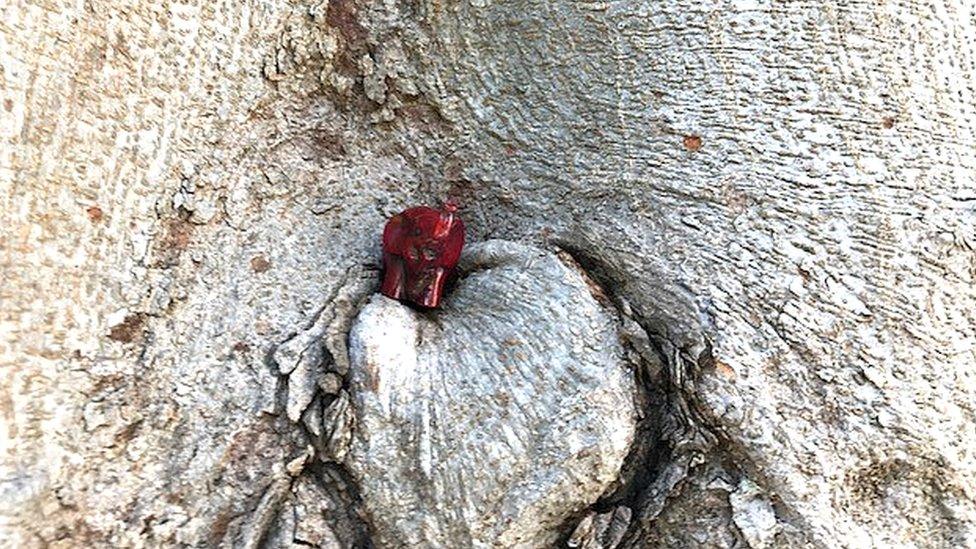 Elephant in a tree in Jardim da Estrela in Lisbon, Portugal