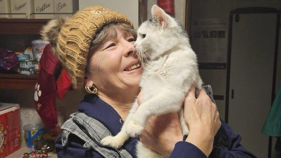 A volunteer holds a cat and smiles lovingly at it