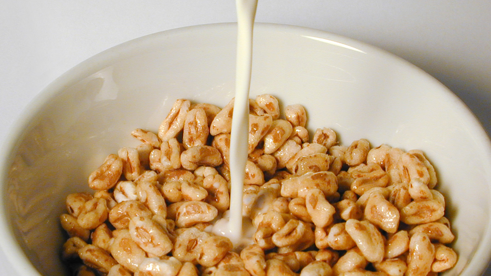 Bowl of breakfast cereal with milk