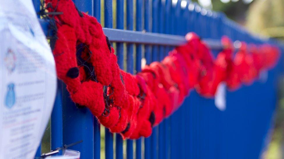 Wellesbourne poppies