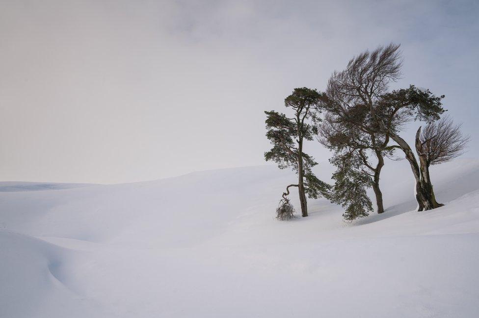 Standing in Snow, Leadhills, South Lanarkshire, Scotland