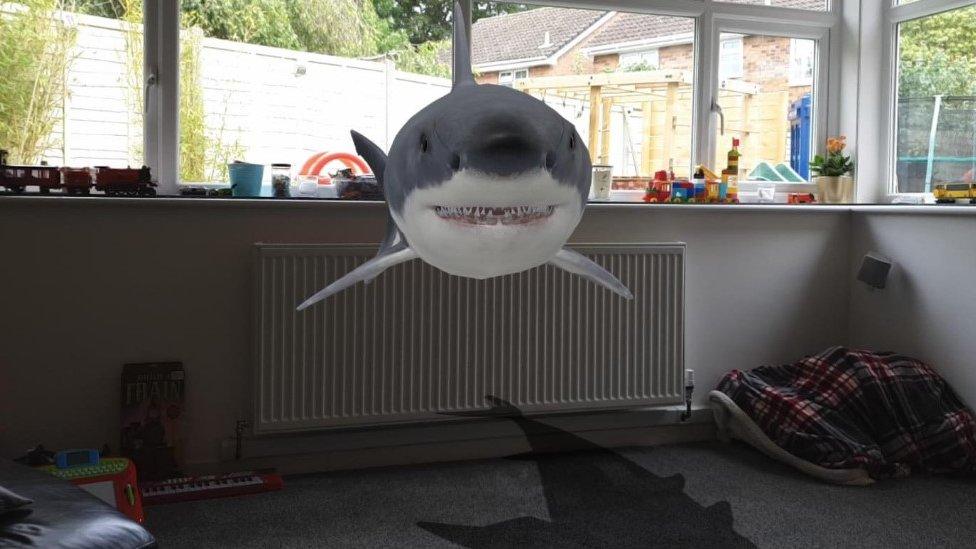 AR shark