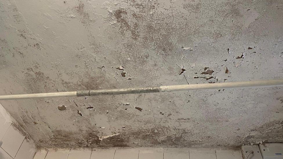 Mouldy ceiling with flaking paint