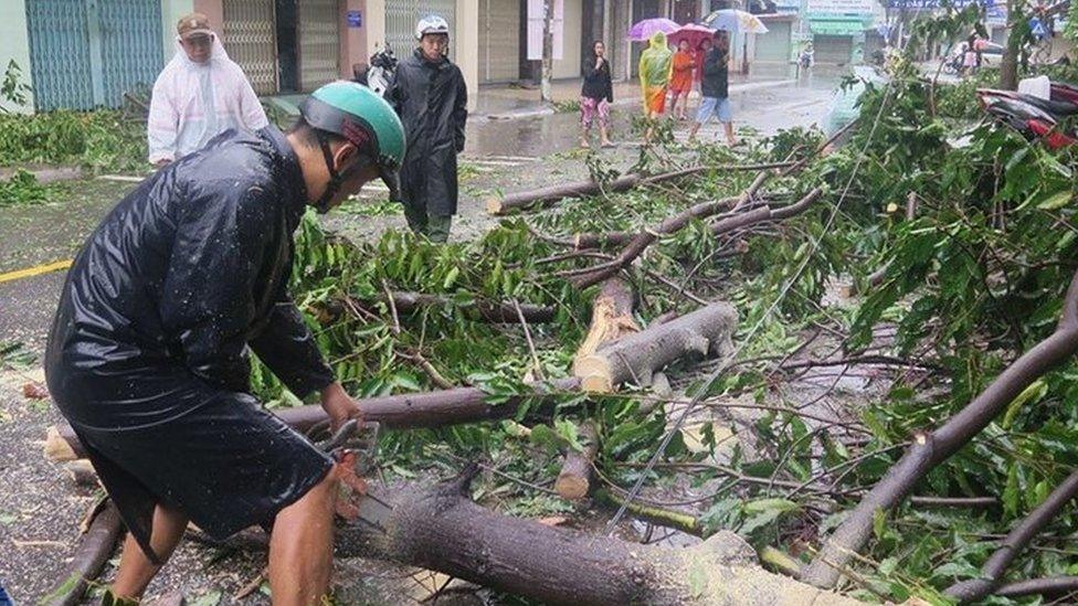 Men remove fallen trees on a street in Nha Trang (04 November 2017)