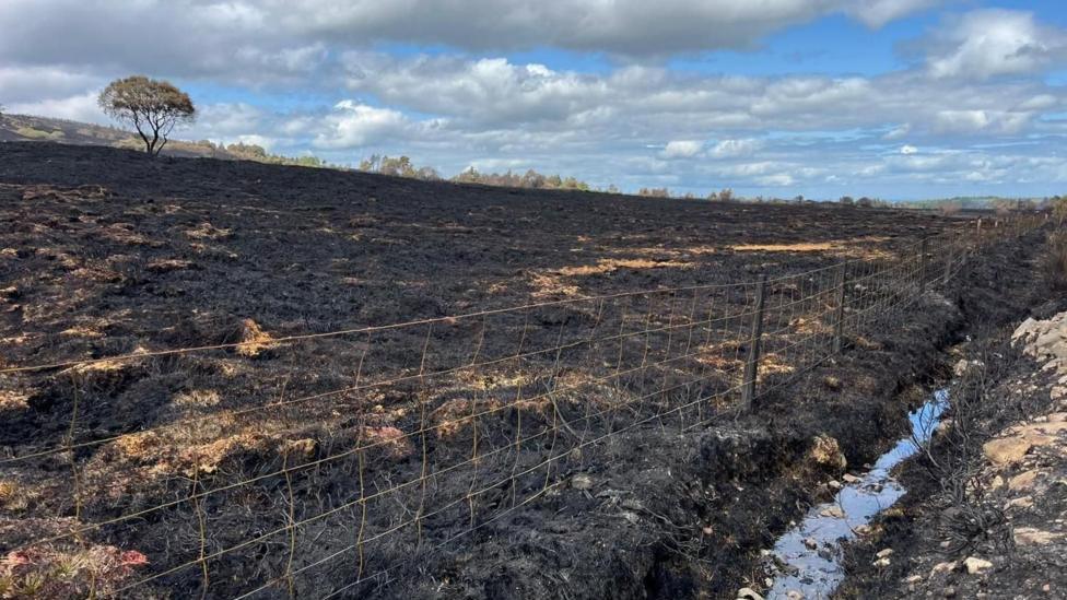 Mòinteach air a sgrios an dèidh teine mòr na bliadhna an-uiridh