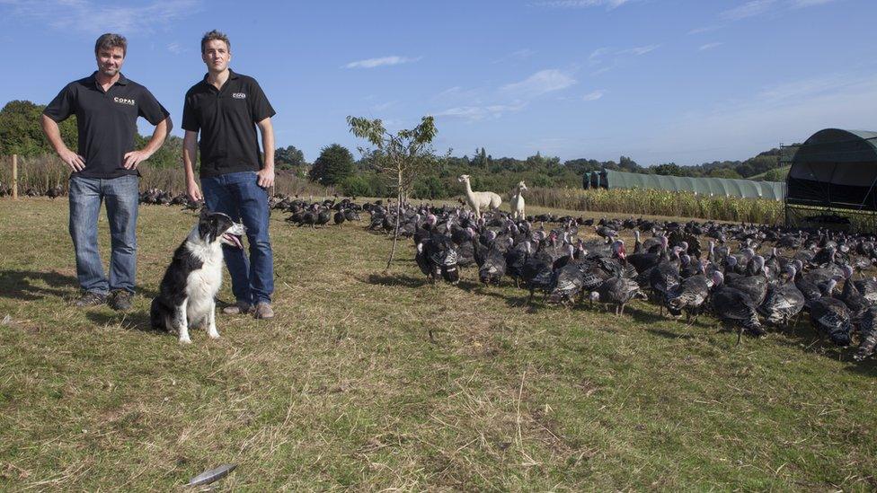 Tom Copas (right) with Steve Hellings, the farm manager, and dog Kes