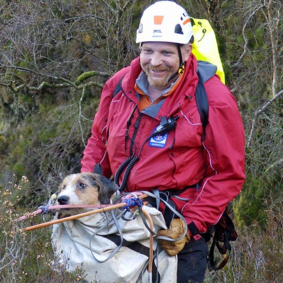 Dog rescued from gorge