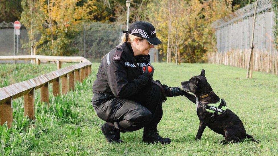 Claire Todd kneeling down with a red ball in her handholding on to Stella's paw