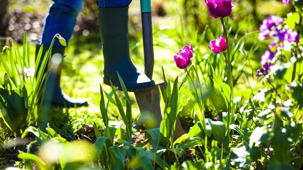 Gardener with flowers