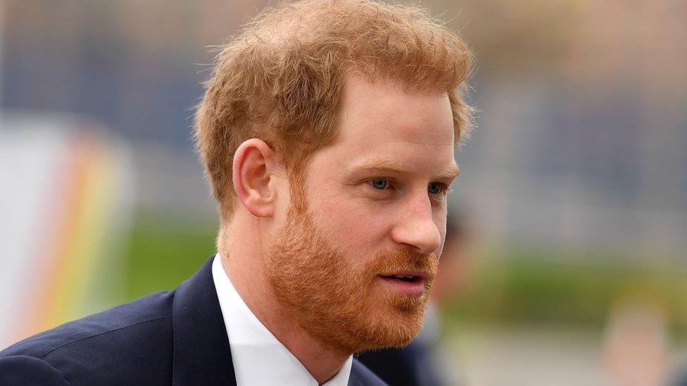 The Duke of Sussex