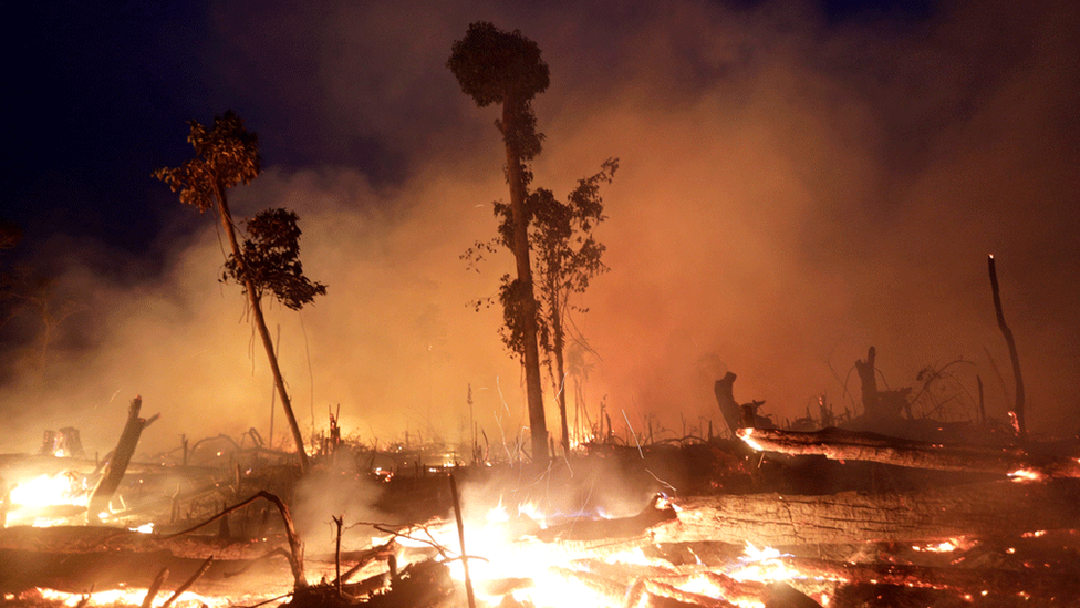 Trees in the Brazilian Amazon on fire. File photo