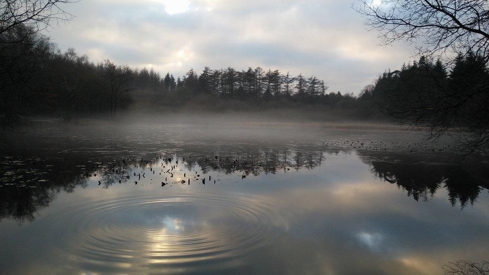 Pysgodlyn Lake, near Welsh St Donats, Vale of Glamorgan