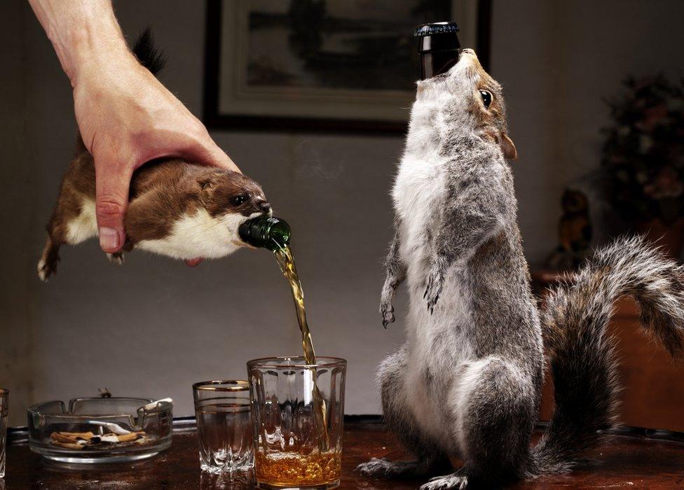 Brewdog's beer bottles encased in taxidermied squirrel and stoat