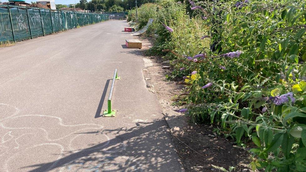 Cycle path with skateboarding apparatus and wildflowers