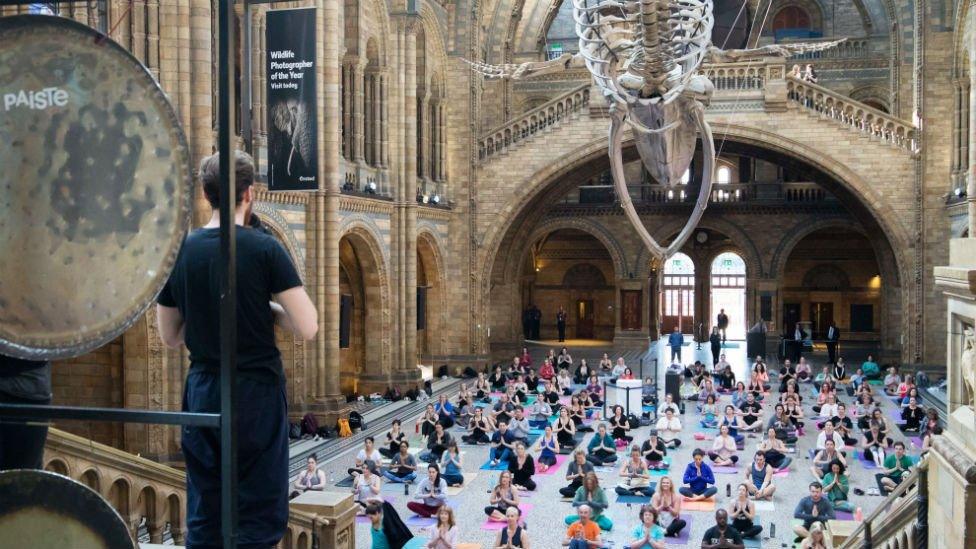 When the NHM was founded it was called "a cathedral to nature"