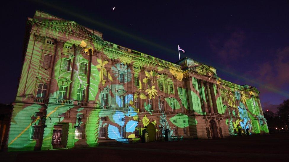 Front of Buckingham Palace lit up for the project