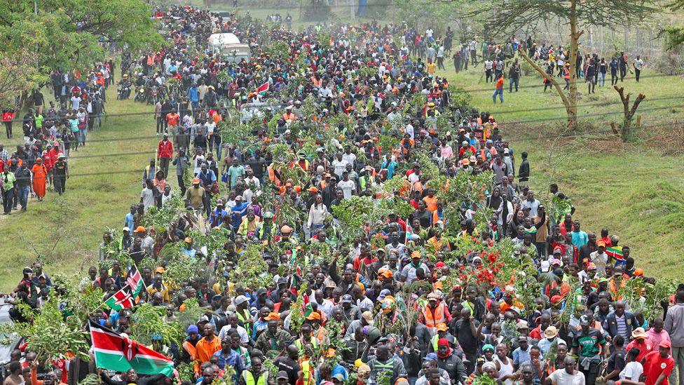 Crowds surround the cortege taking Raila Odinga's coffin through Nairobi - many holding the branches of trees.