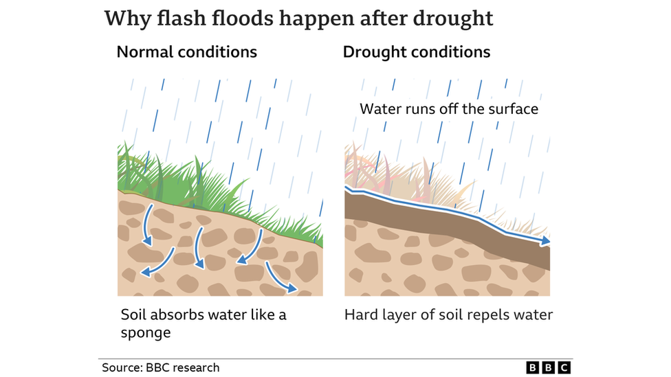 Graphic showing water run-off on drought-affected soils