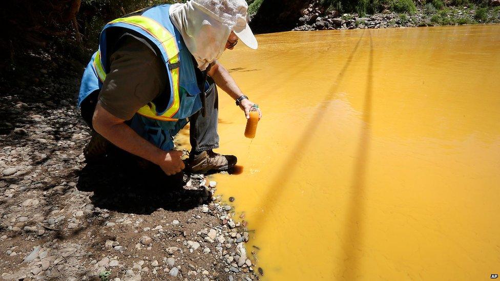 Dan Bender, with the La Plata County Sheriff's Office, takes a water sample from the Animas River near Durango, Colorado on 6 August.