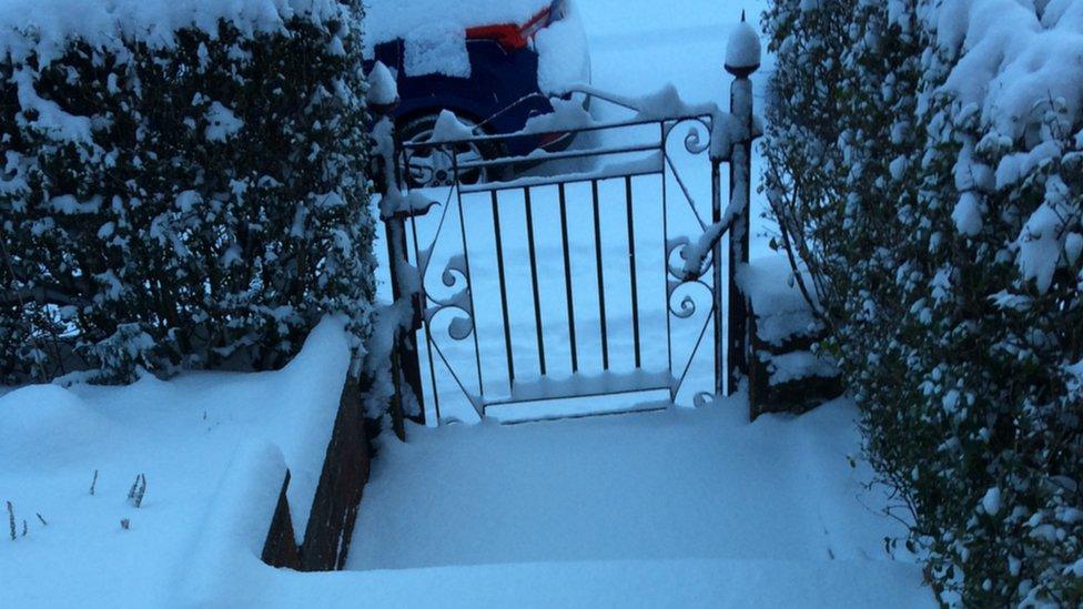 Gate in the snow