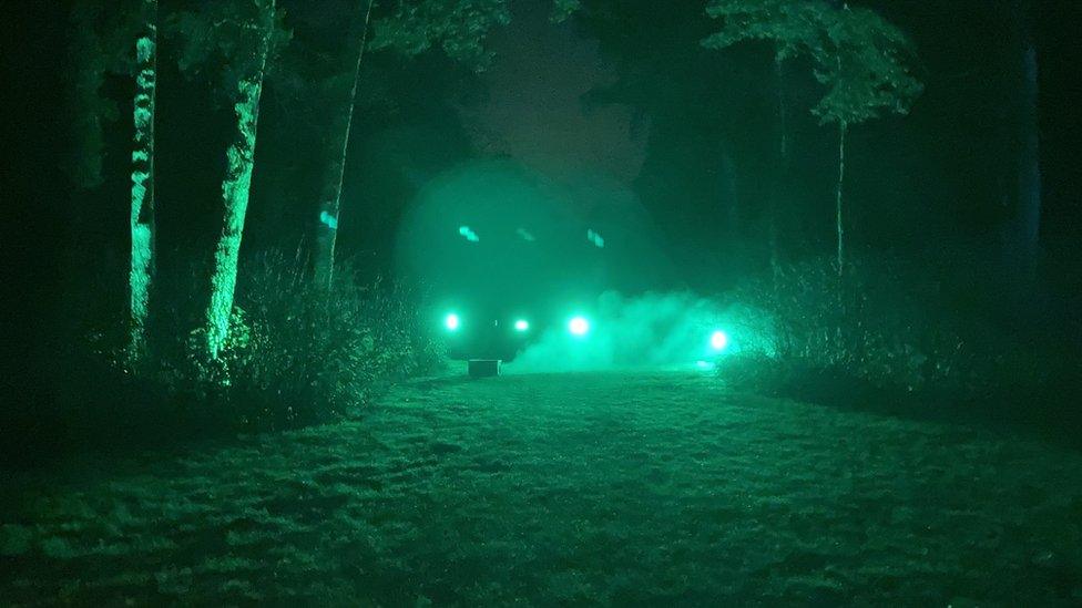 A flash of green light and smoke amongst trees in the dark