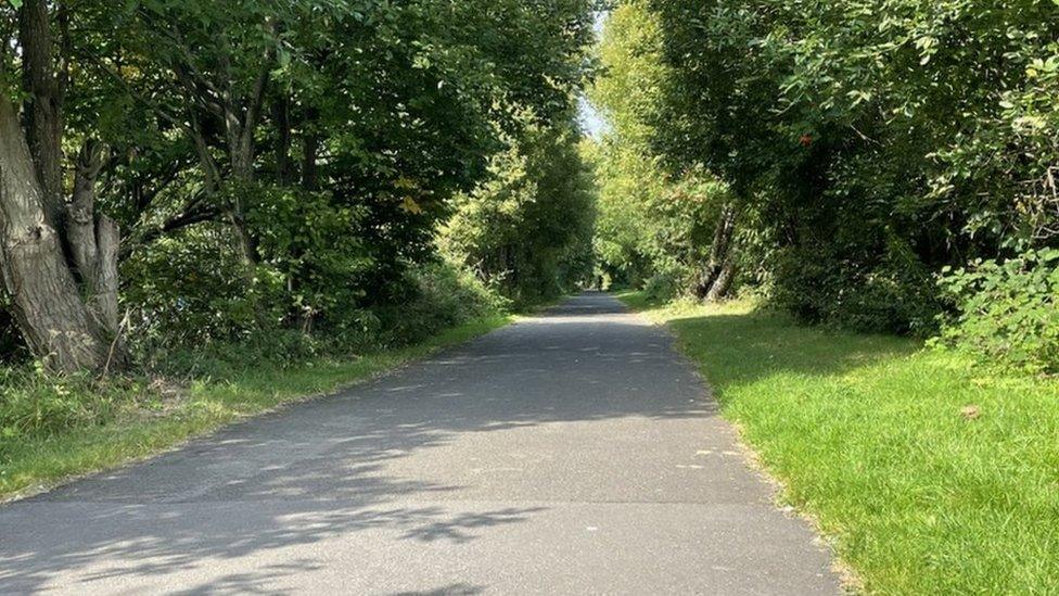 dead rat on cycle path