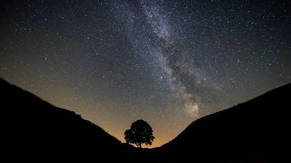 Sycamore Gap at night