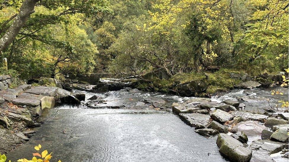 Afon Ogwen