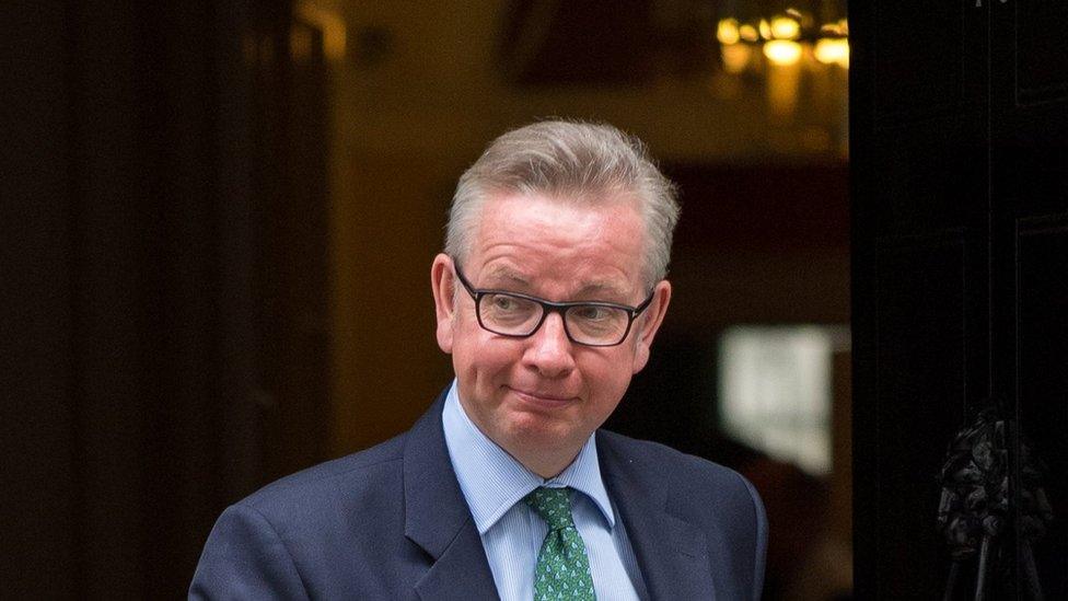 Michael Gove