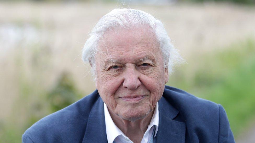 David Attenborugh.