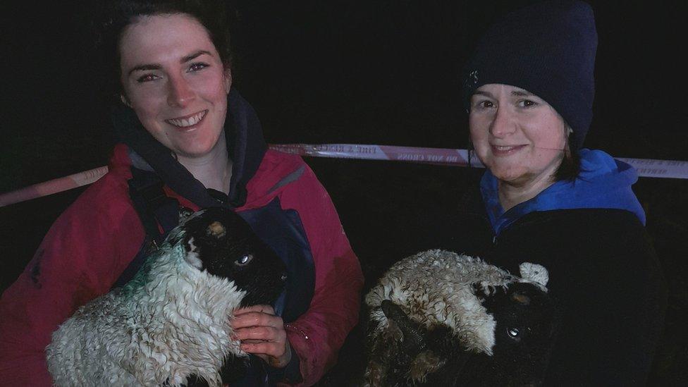 Two women hold the rescued lambs