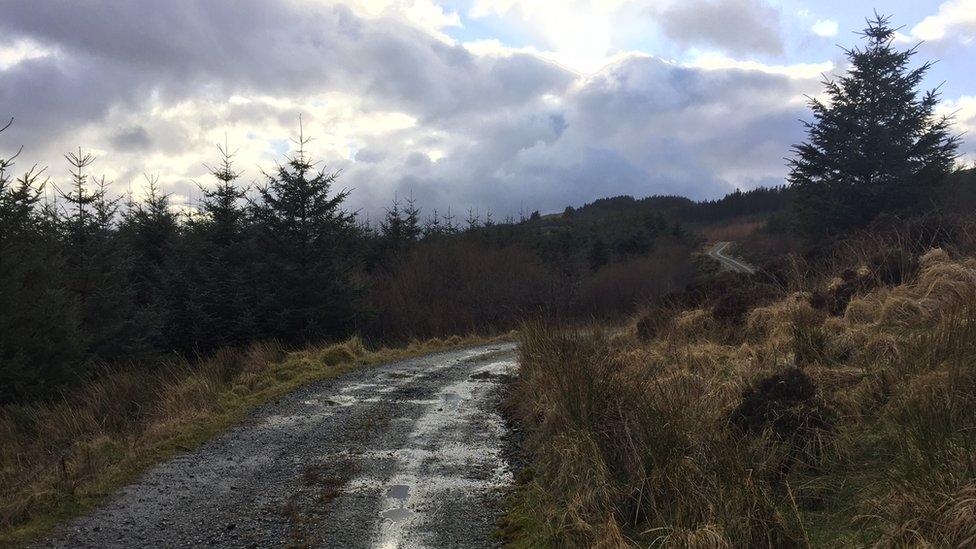 The by-product from the process, called digestate, will be spread in forestry and on land near the plant in County Donegal